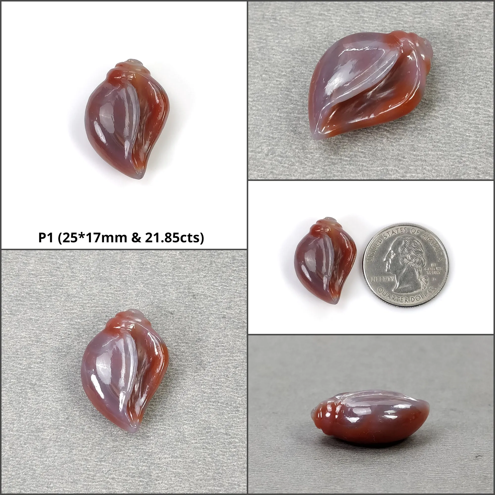 Agate Gemstone Carving : Natural Untreated Unheated Orange Agate Hand Carved SEA SHELL And Uneven Shape Carving