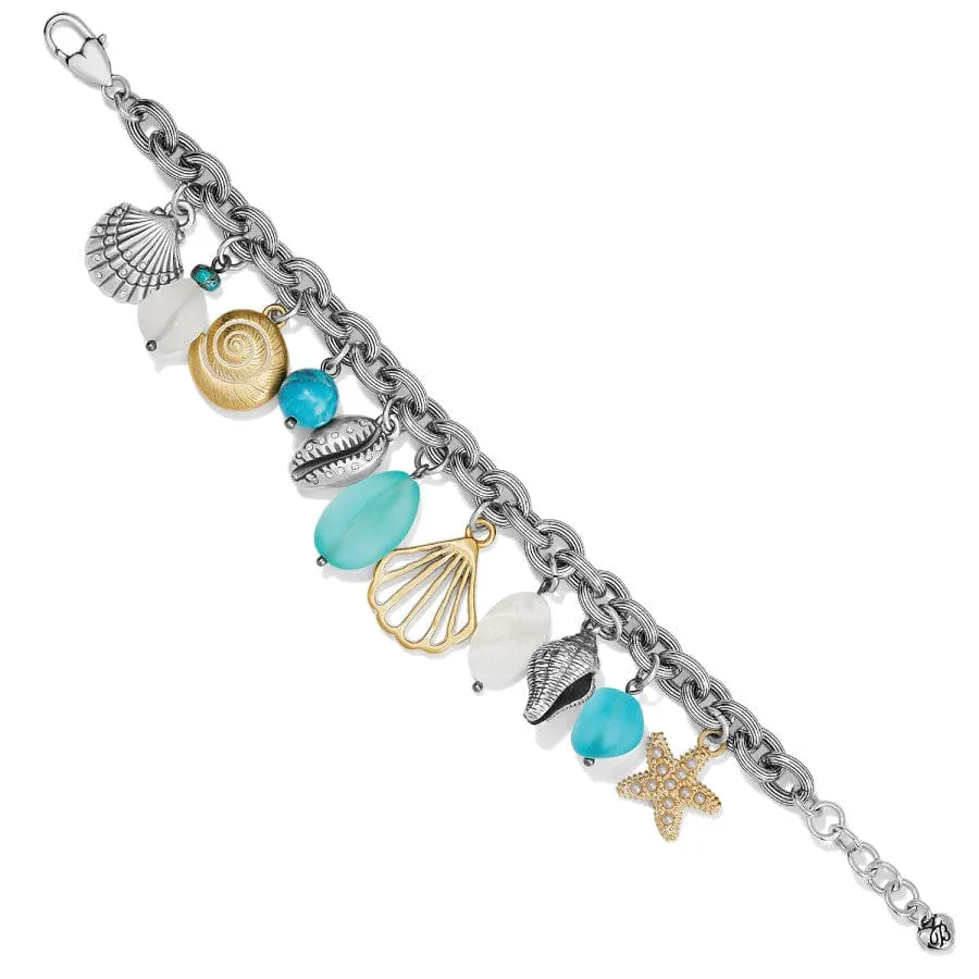 Calypso Shell Charm Bracelet