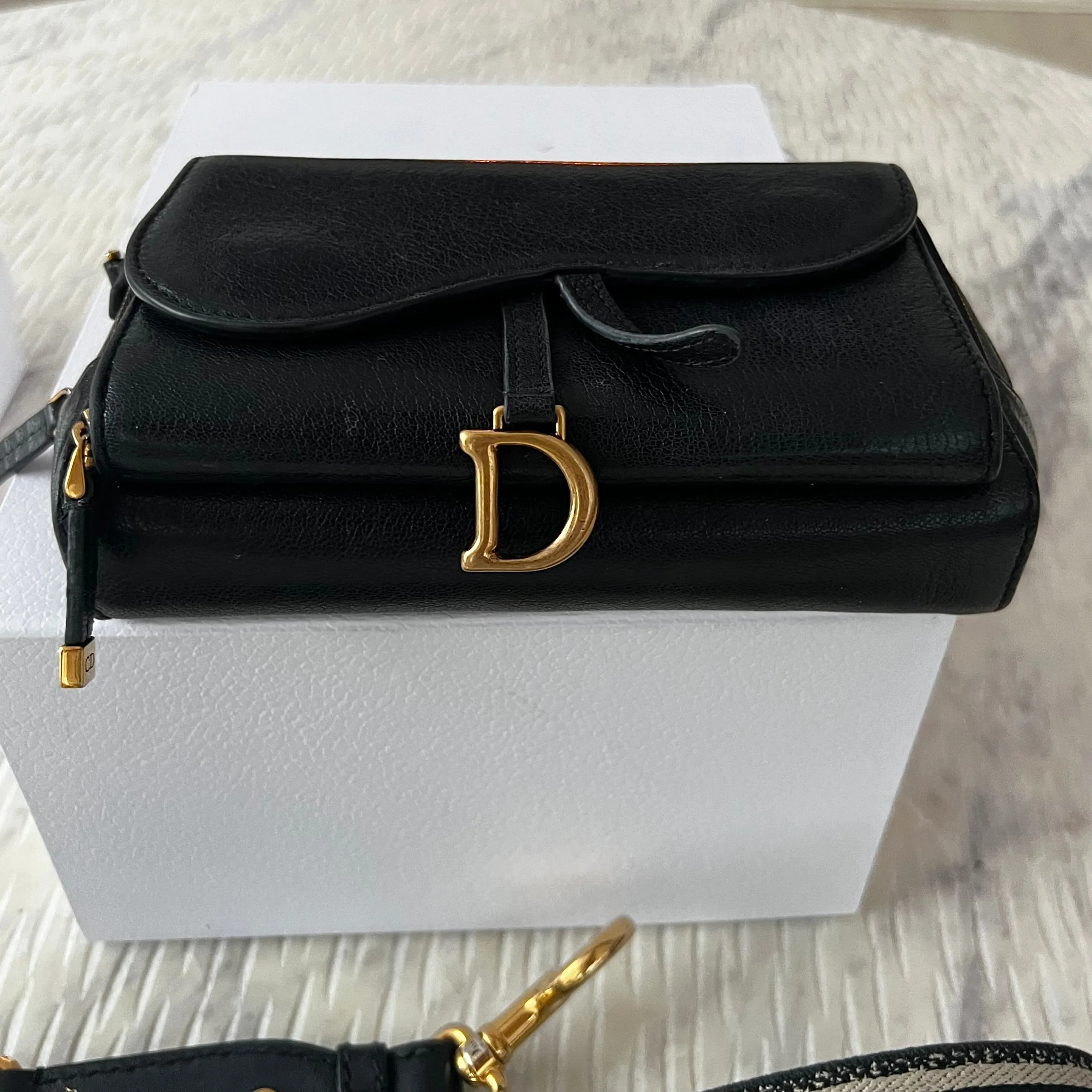 Christian Dior Saddle Double Pouch Luxury Designer Bag