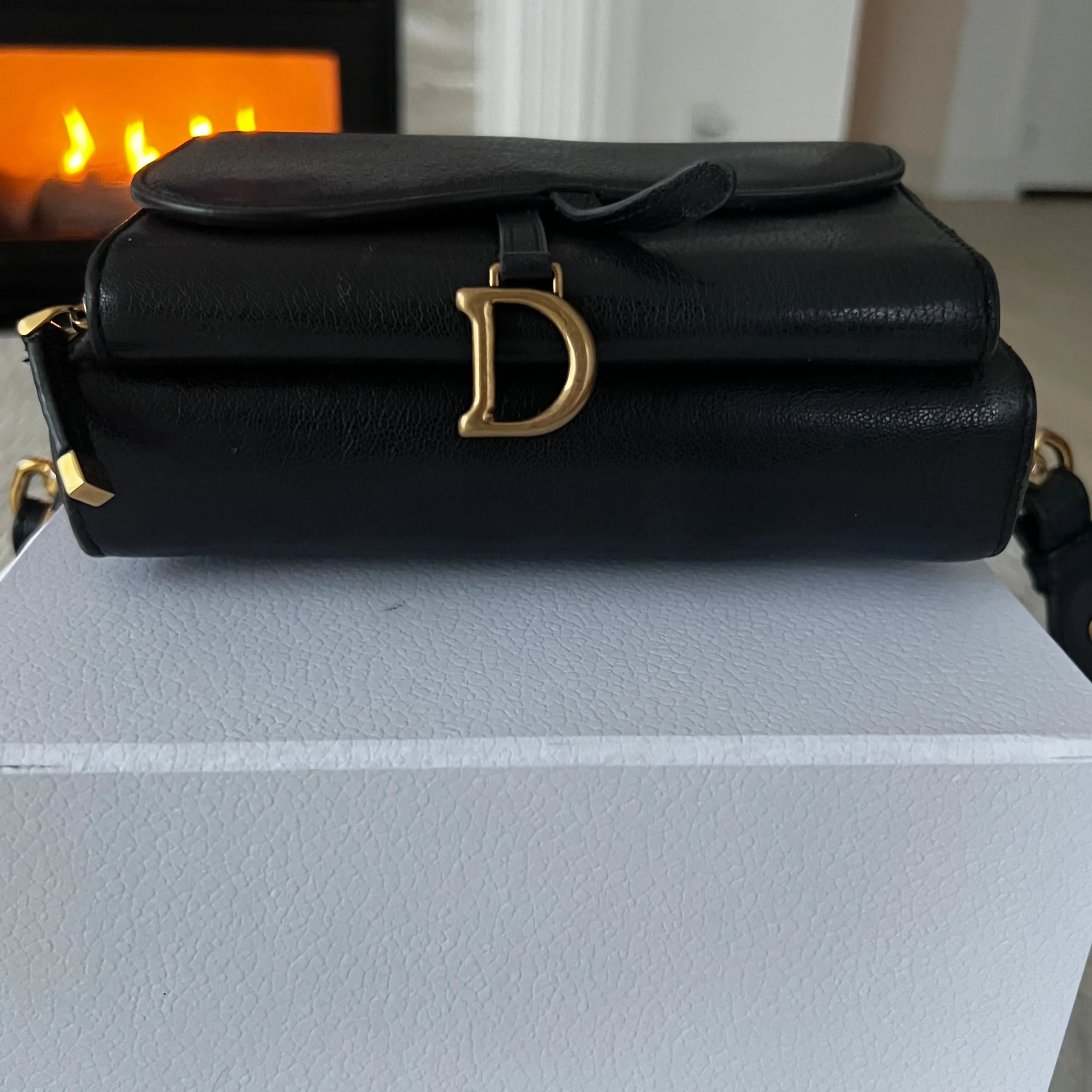 Christian Dior Saddle Double Pouch Luxury Designer Bag